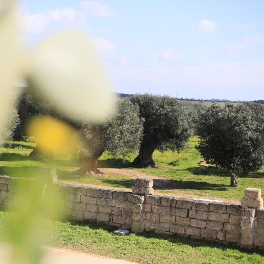 Masseria Cuturi Villa Manduria Exteriör bild